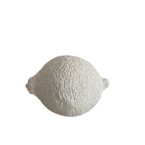 Lemon Rock Mold