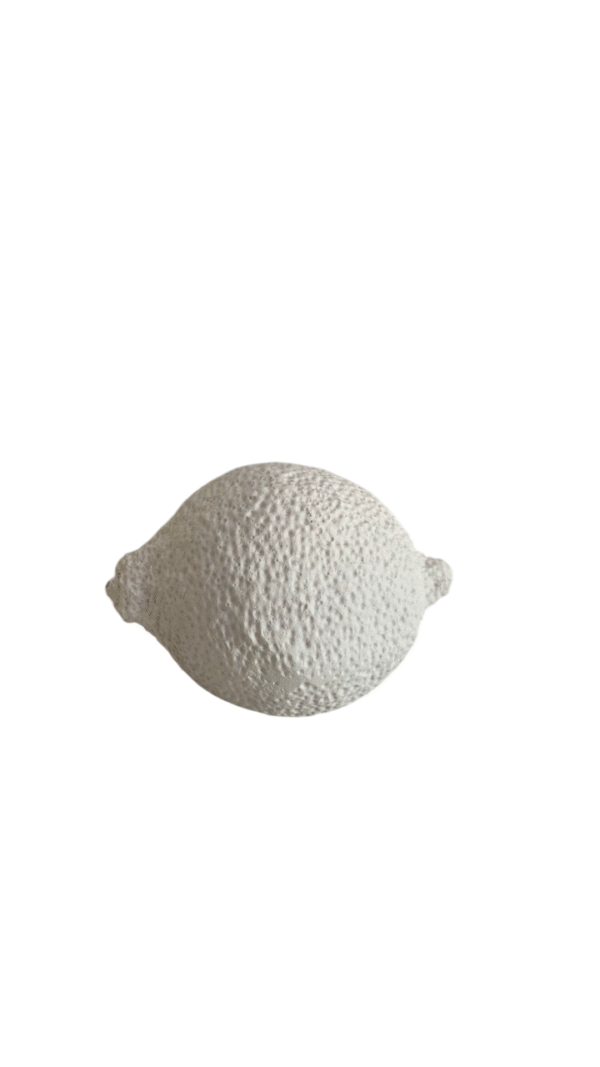 Lemon Rock Mold